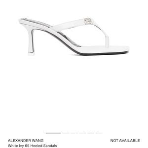 Alexander wang heels